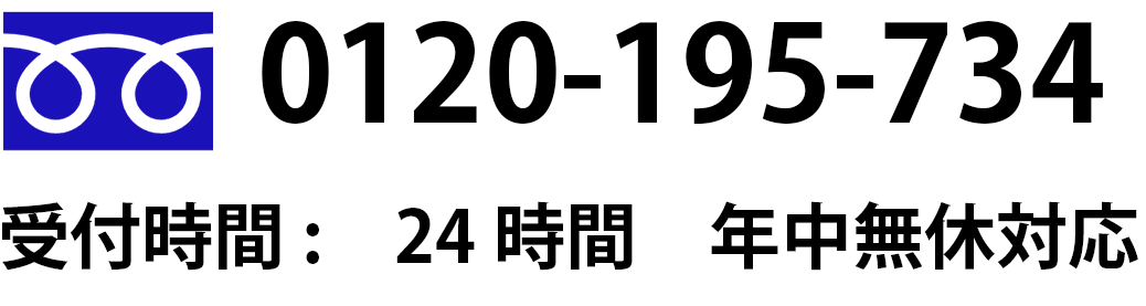 0120-195-734